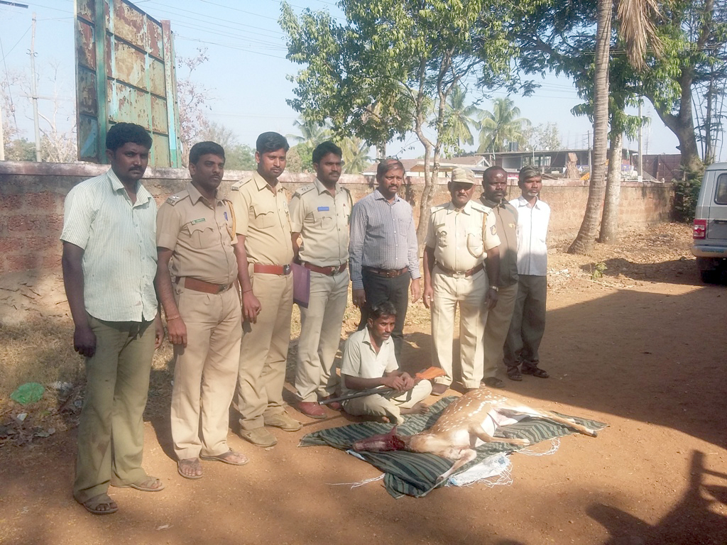 ​ಜಿಂಕೆ ಕೊಂದ ಆರೋಪಿ ಅರಣ್ಯ ಇಲಾಖೆ ಬಲೆಗೆ